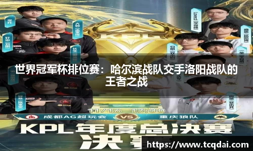 世界冠军杯排位赛：哈尔滨战队交手洛阳战队的王者之战
